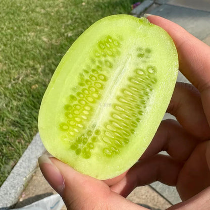Premium Jade Mini Cucumber Seeds | High-Yield Vegetable Seeds