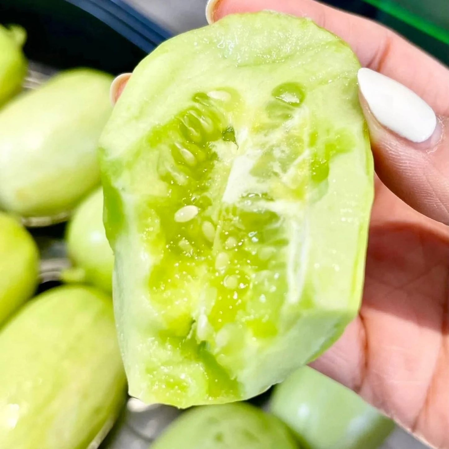 Premium Jade Mini Cucumber Seeds | High-Yield Vegetable Seeds