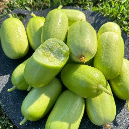 Premium Jade Mini Cucumber Seeds | High-Yield Vegetable Seeds