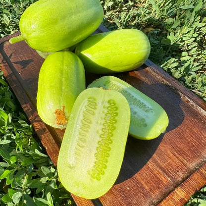 Premium Jade Mini Cucumber Seeds | High-Yield Vegetable Seeds